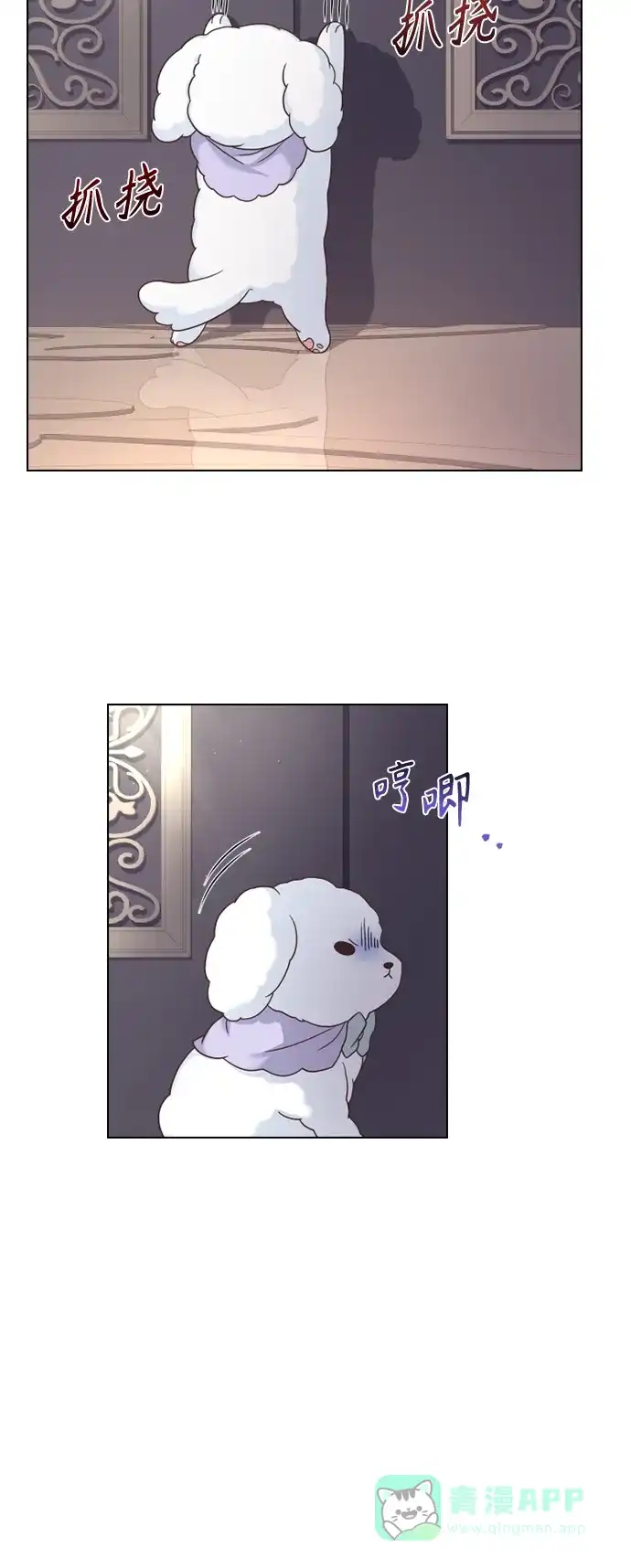 《陛下追不到的暴躁千金》第49话 第60页