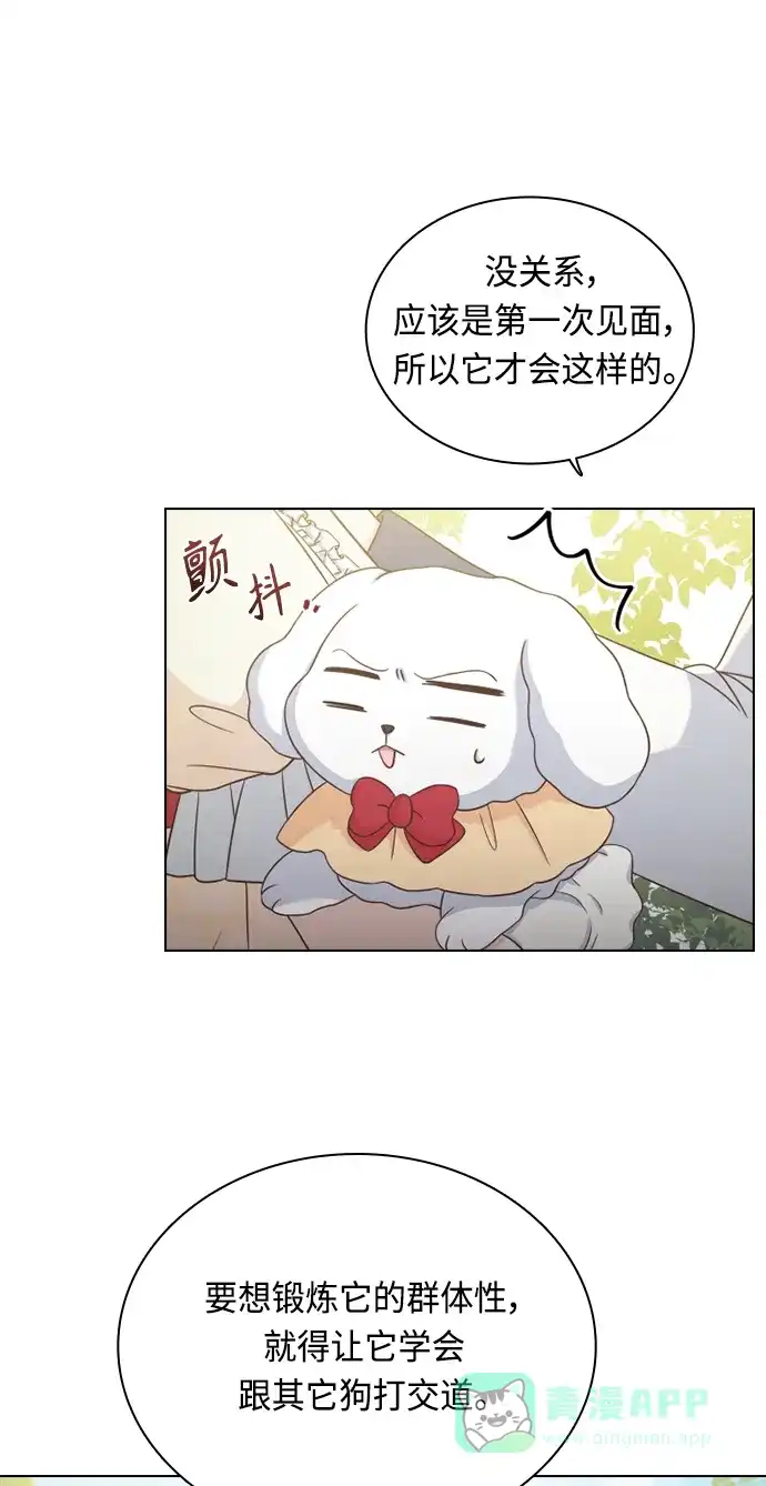 《陛下追不到的暴躁千金》第51话 第52页