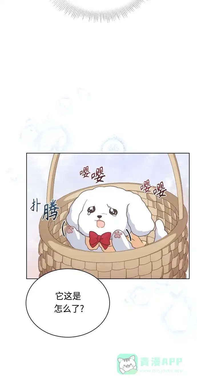 《陛下追不到的暴躁千金》第51话 第50页