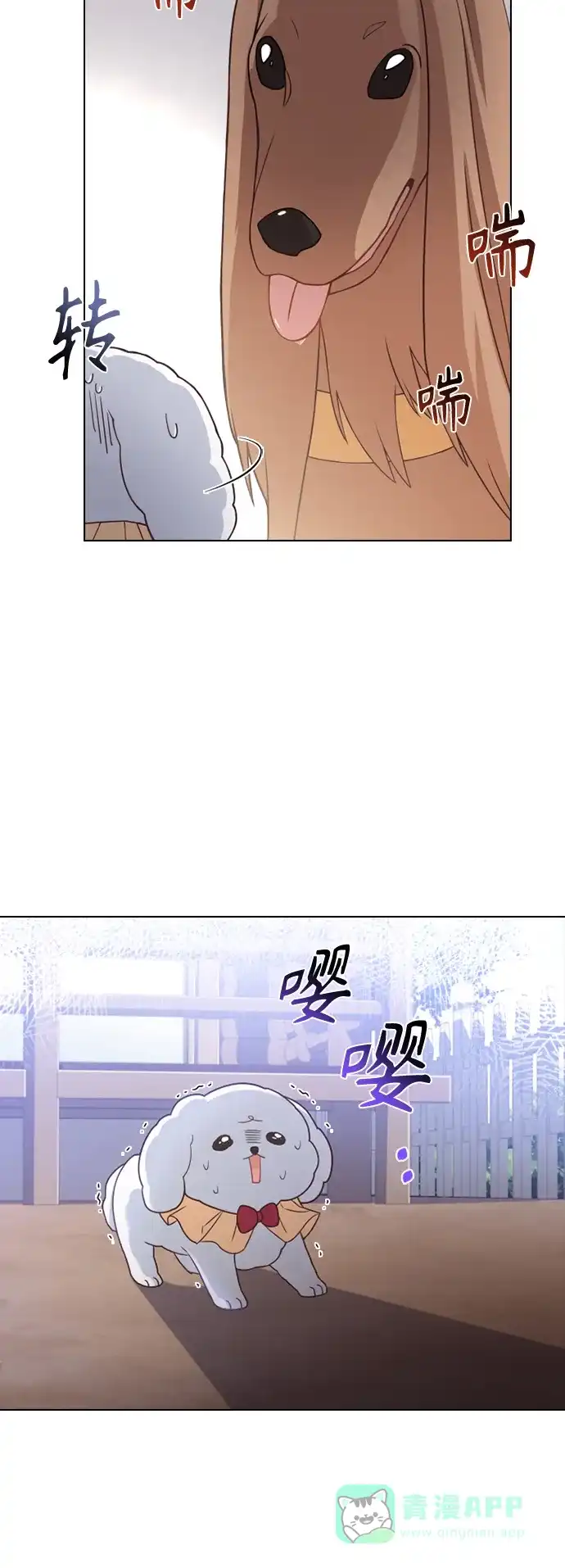 《陛下追不到的暴躁千金》第52话 第4页