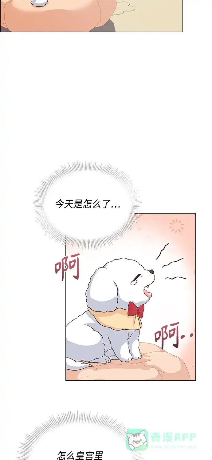 《陛下追不到的暴躁千金》第55话 第48页