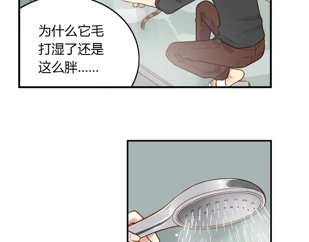 《薄荷之夏》第42话 生日聚会 第14页