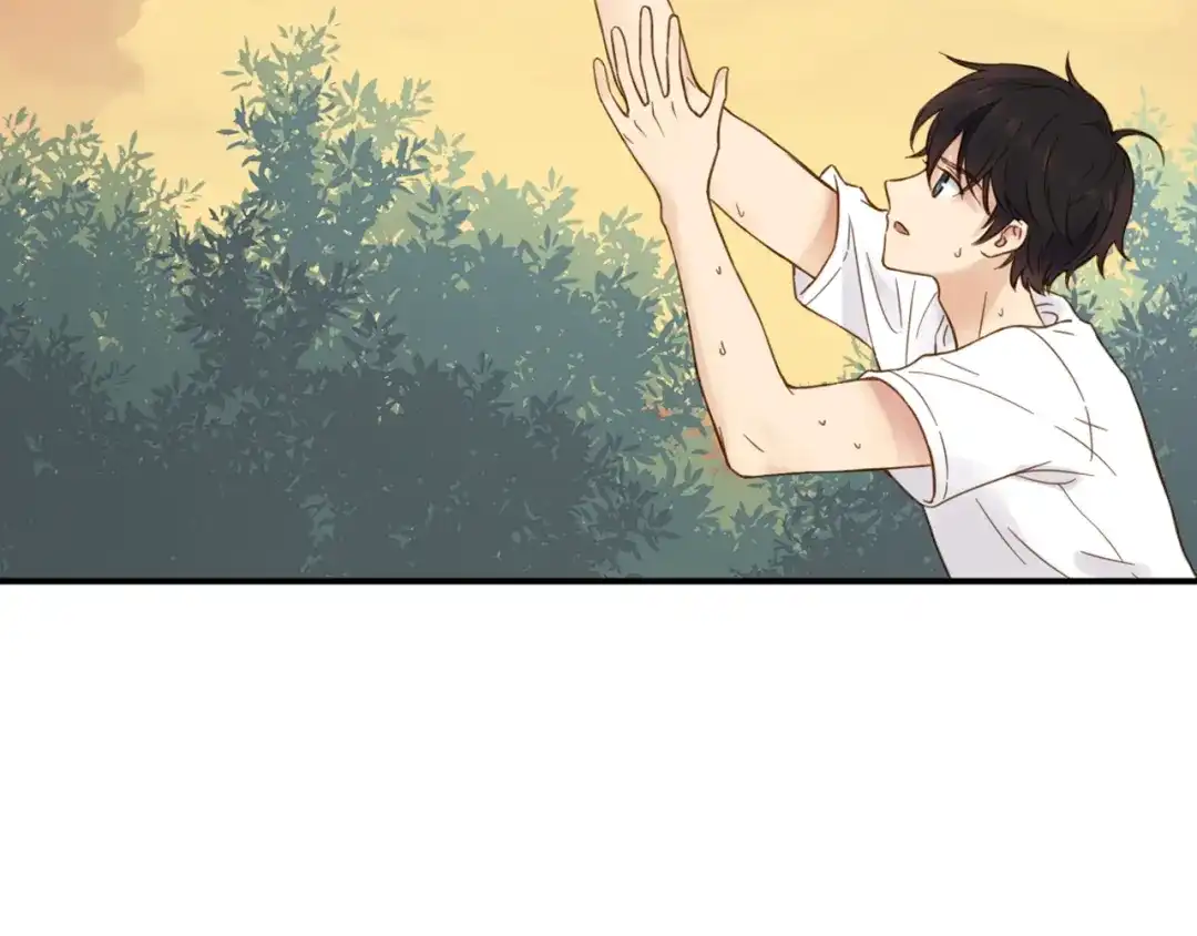 《薄荷之夏》第49话 口是心非 第50页