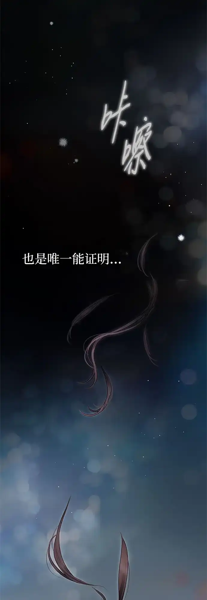 《伯爵家的神秘侍女》第53话 第17页