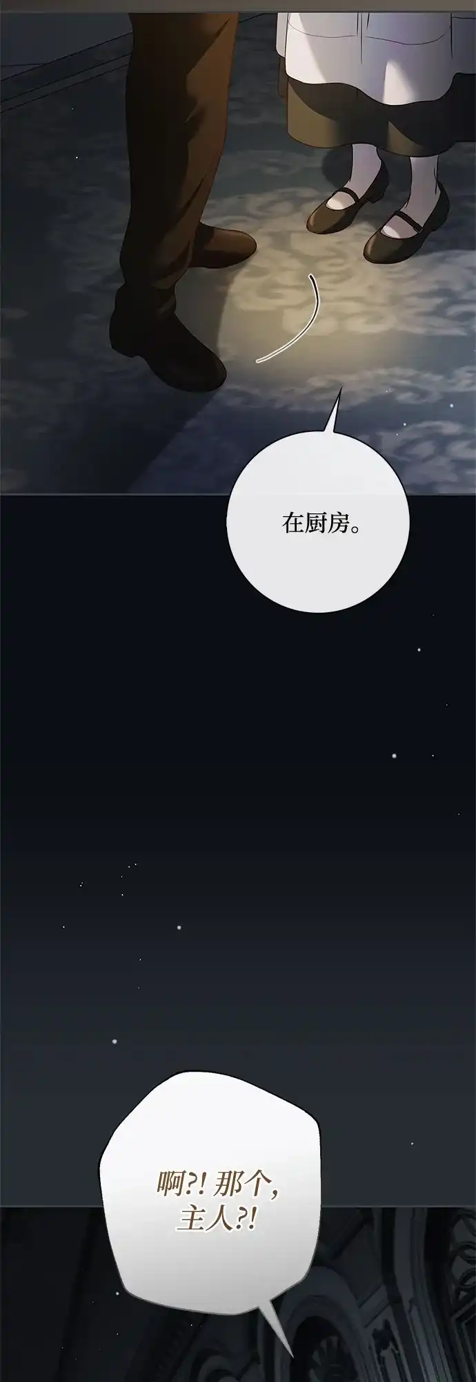 《伯爵家的神秘侍女》第66话 第13页
