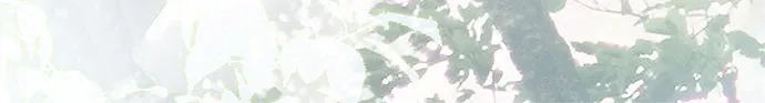 《伯爵家的神秘侍女》第76话 第40页