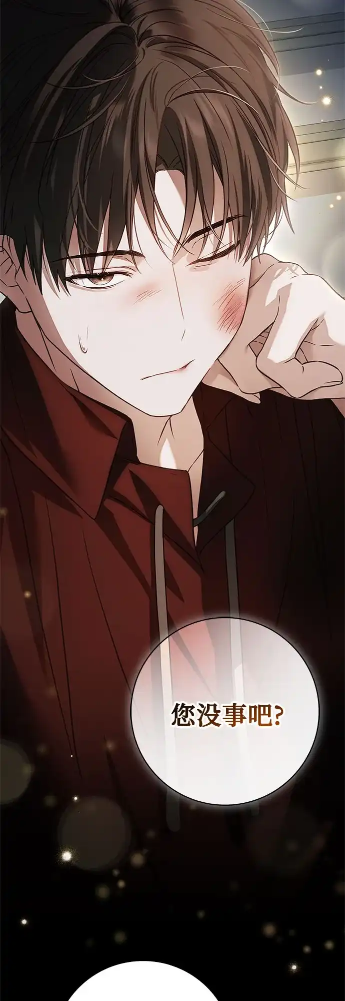 《伯爵家的神秘侍女》第86话 第40页