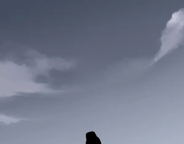 《不见长安》一年未见，你别来无恙？ 第45页