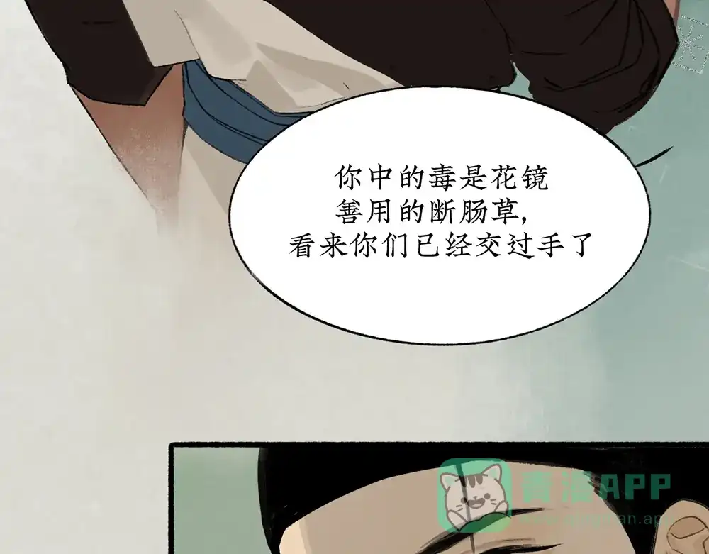 《不见长安》虫子解奇毒？黑皮李偌终成合作 第11页
