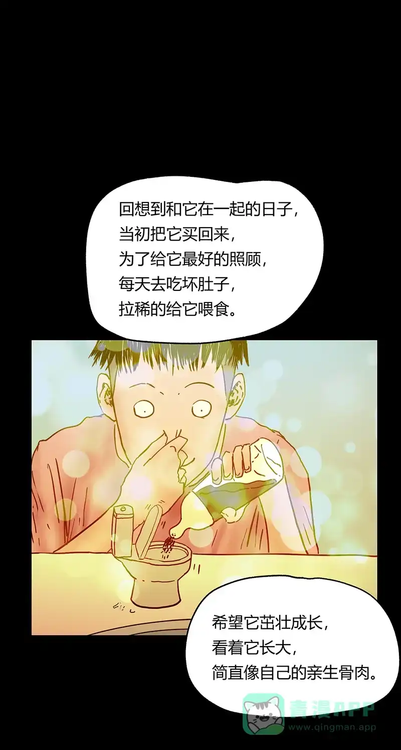 《不可描述》[第45话] 爱的饲养 第12页