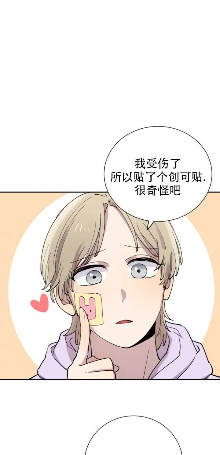 《不可能如此傻瓜》第31话 第63页