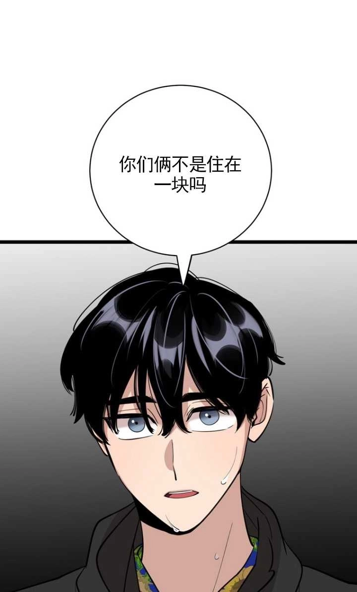 《不可能如此傻瓜》第84话 第49页