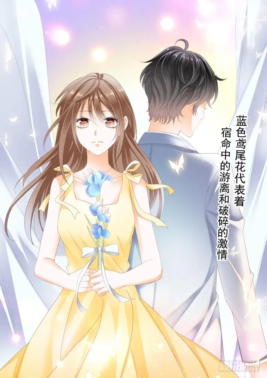 《不可以爱你》第七十三话 第2页
