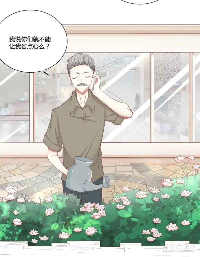 不良宠婚 045 一起回洛家 第14页