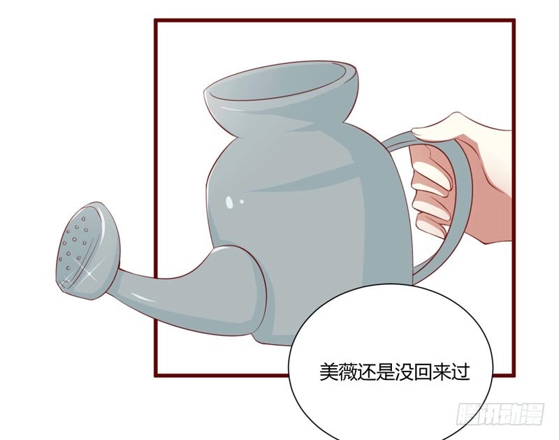 不良宠婚 045 一起回洛家 第13页