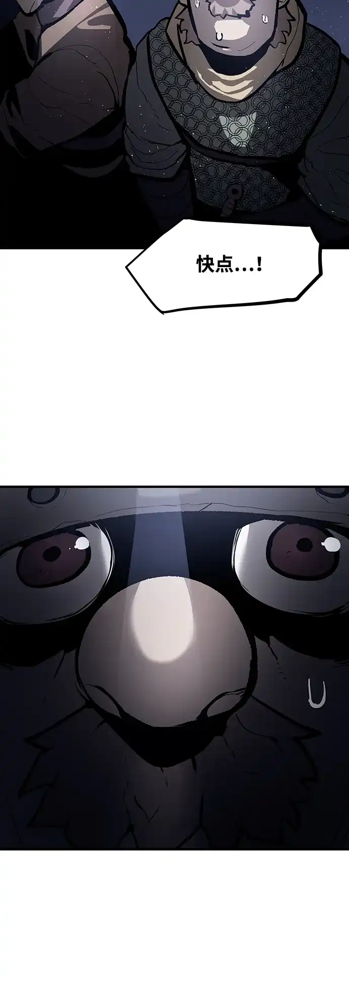 47.jpg
