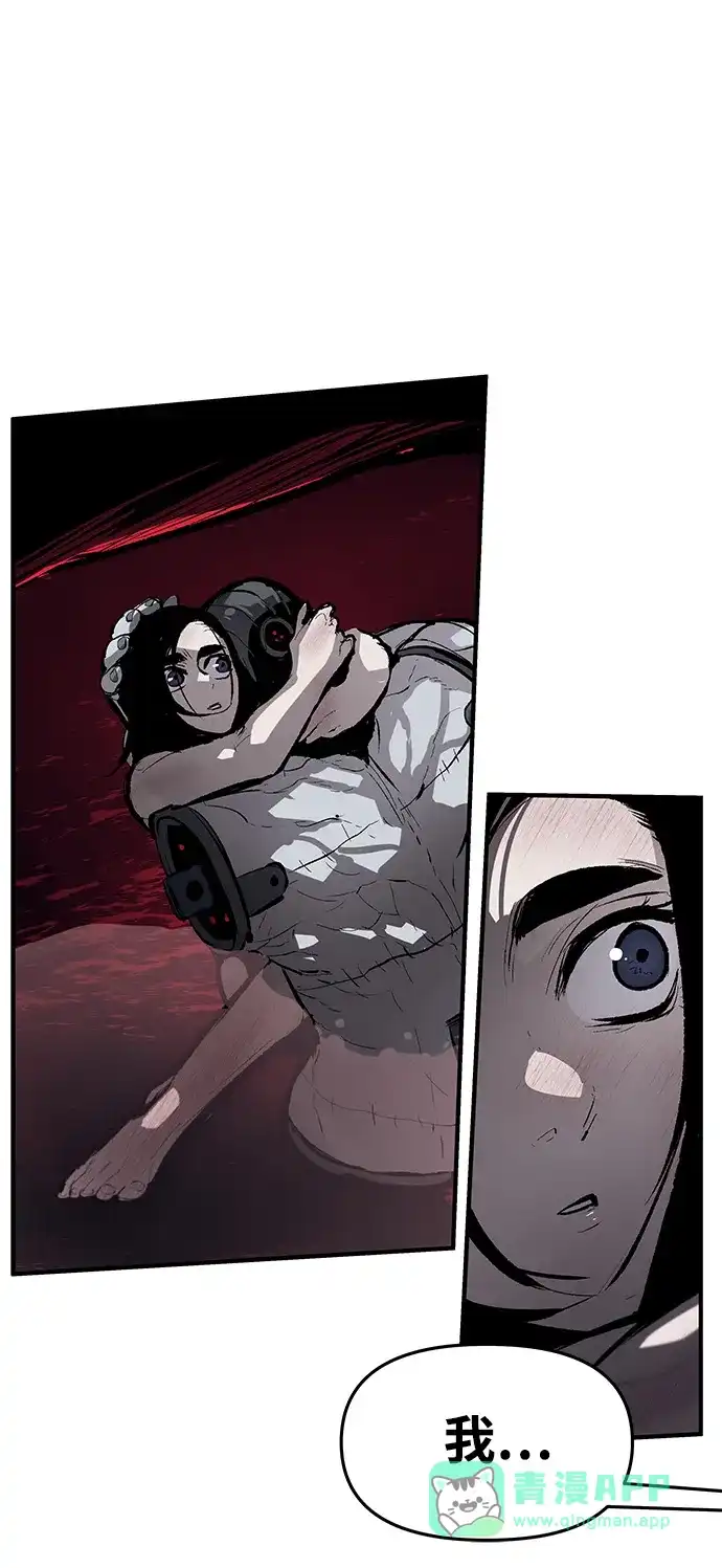 41.jpg