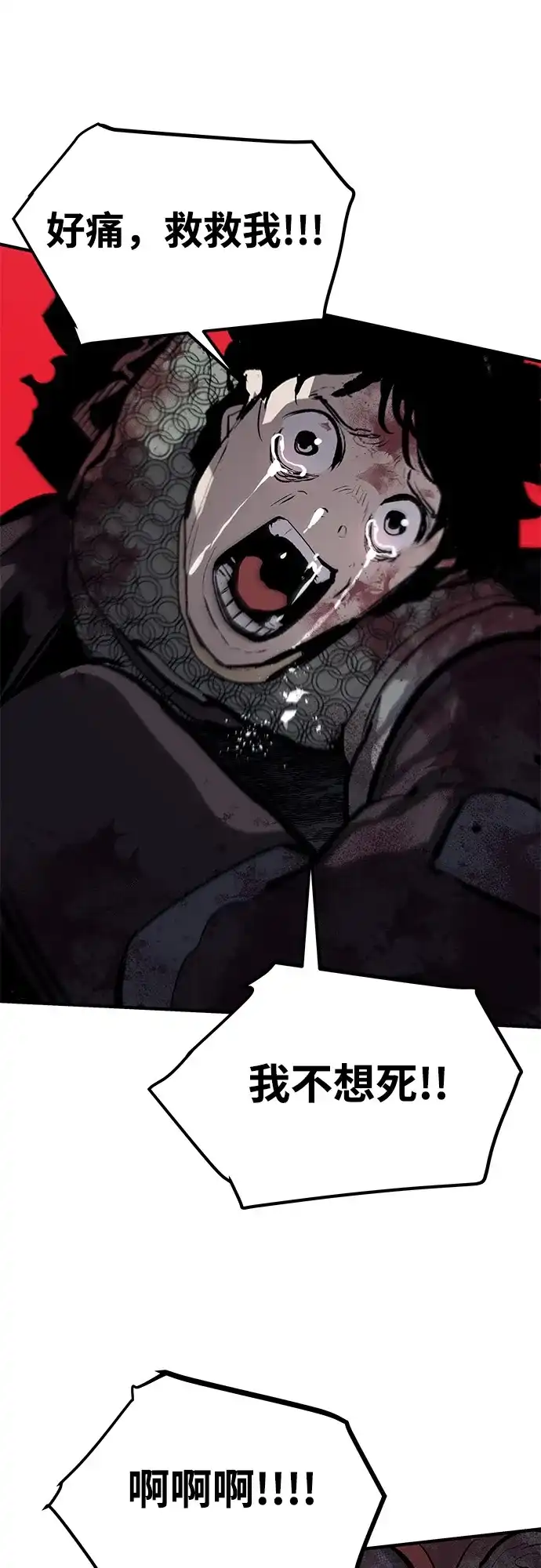 29.jpg