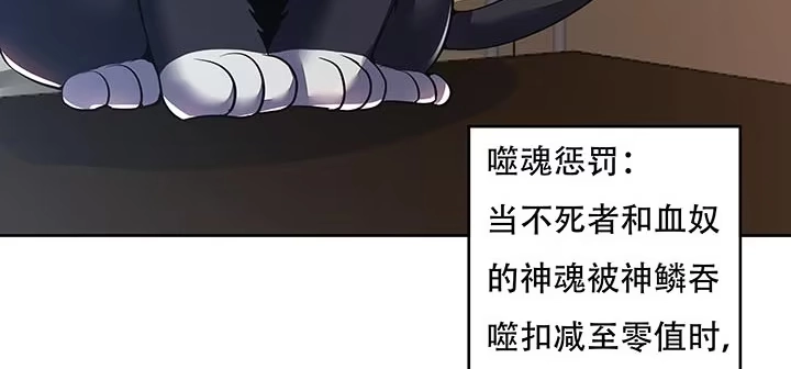 不死神王修仙录 14话 灵血双修 第206页