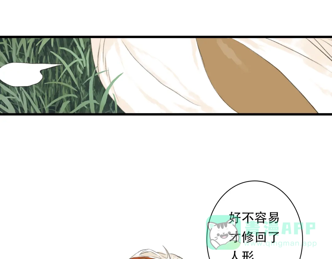 《步天歌》第150话 云岑济众生明道心 第36页