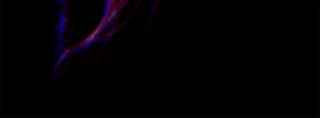 不幸的骑士，请和姐姐恋爱吧 - 第70话 我爱你 - 第205张图