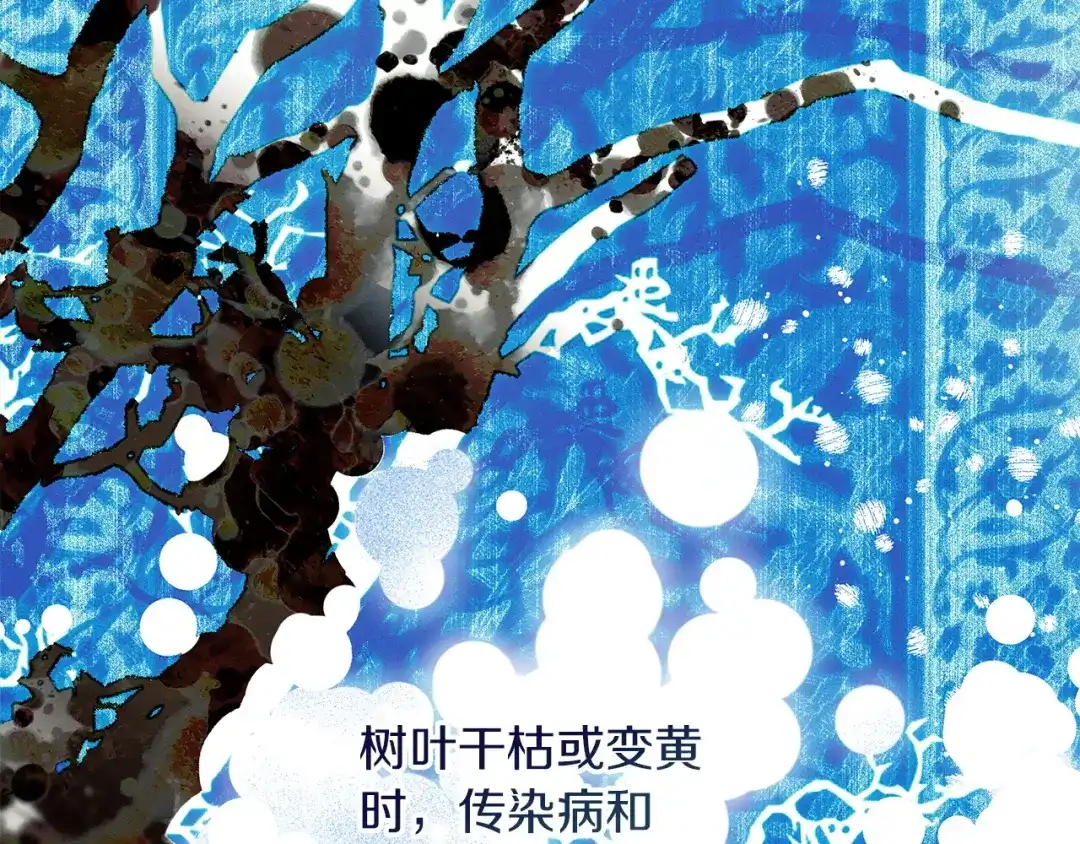 不幸的骑士，请和姐姐恋爱吧 - 第75话 我即将成神 - 第134张图