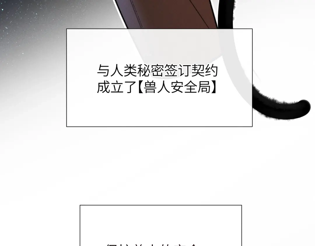 《不要讨厌我》“逮捕”猫猫 第36页