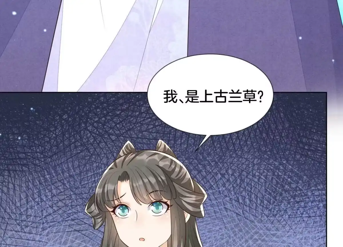 苍兰诀 第109话 新混世魔王小兰花 第33页
