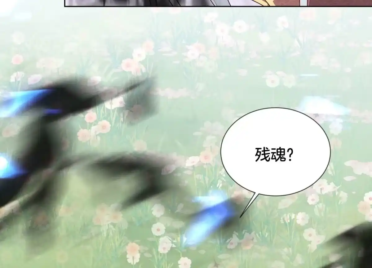 苍兰诀 第126话 本座行事从不后悔 第20页