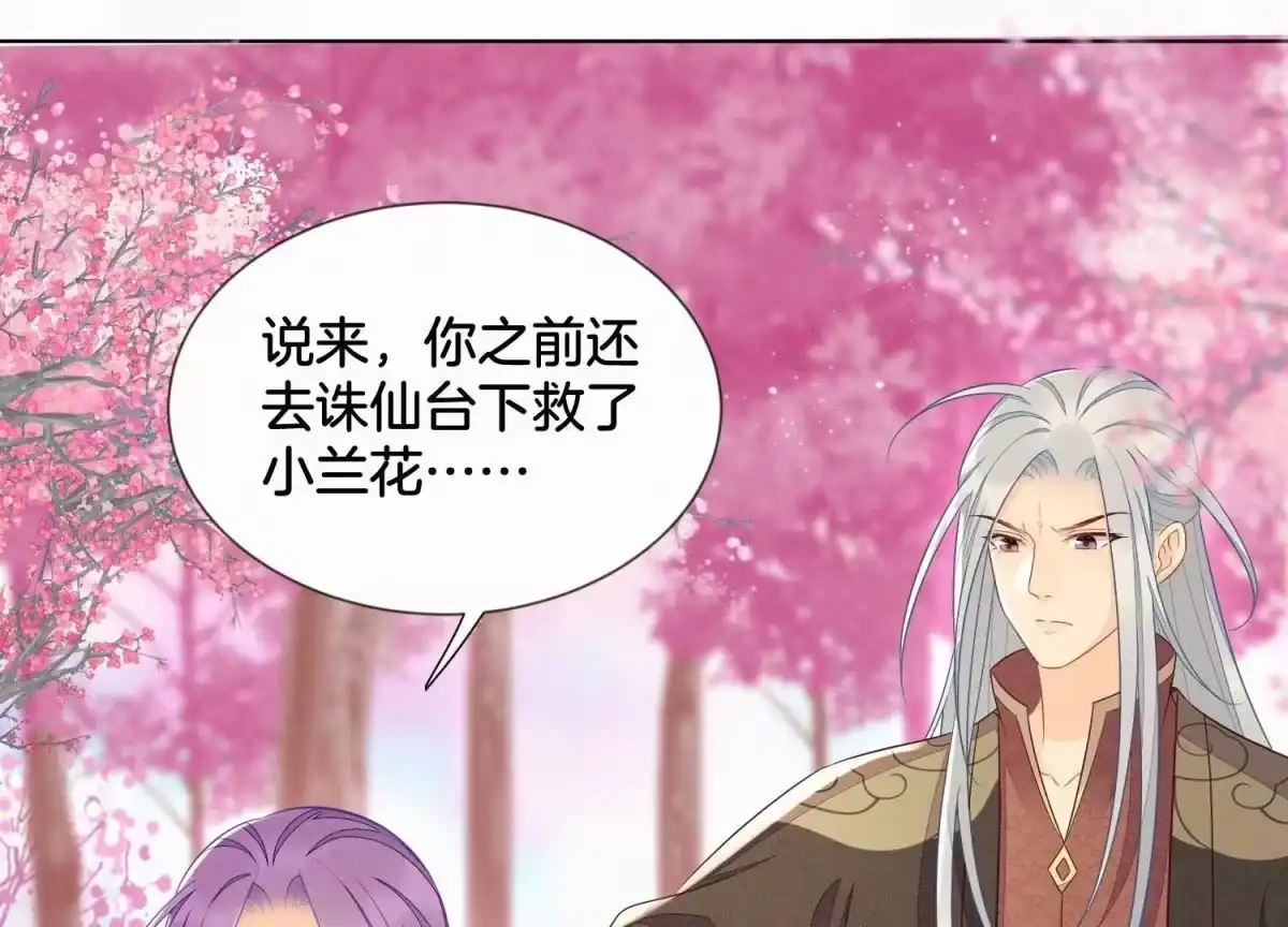 苍兰诀 第129话 是本座亲手毁灭了她 第12页