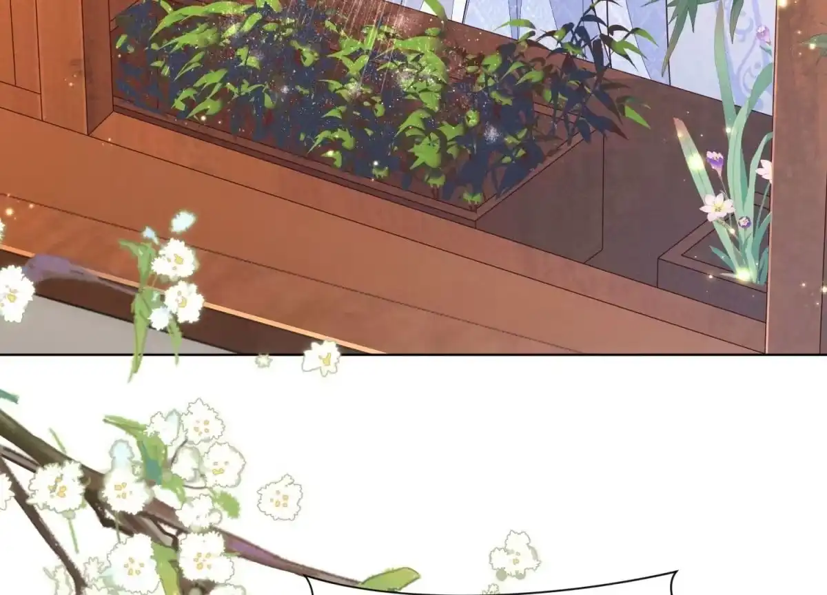 苍兰诀 第131话 司命，是女的？ 第26页