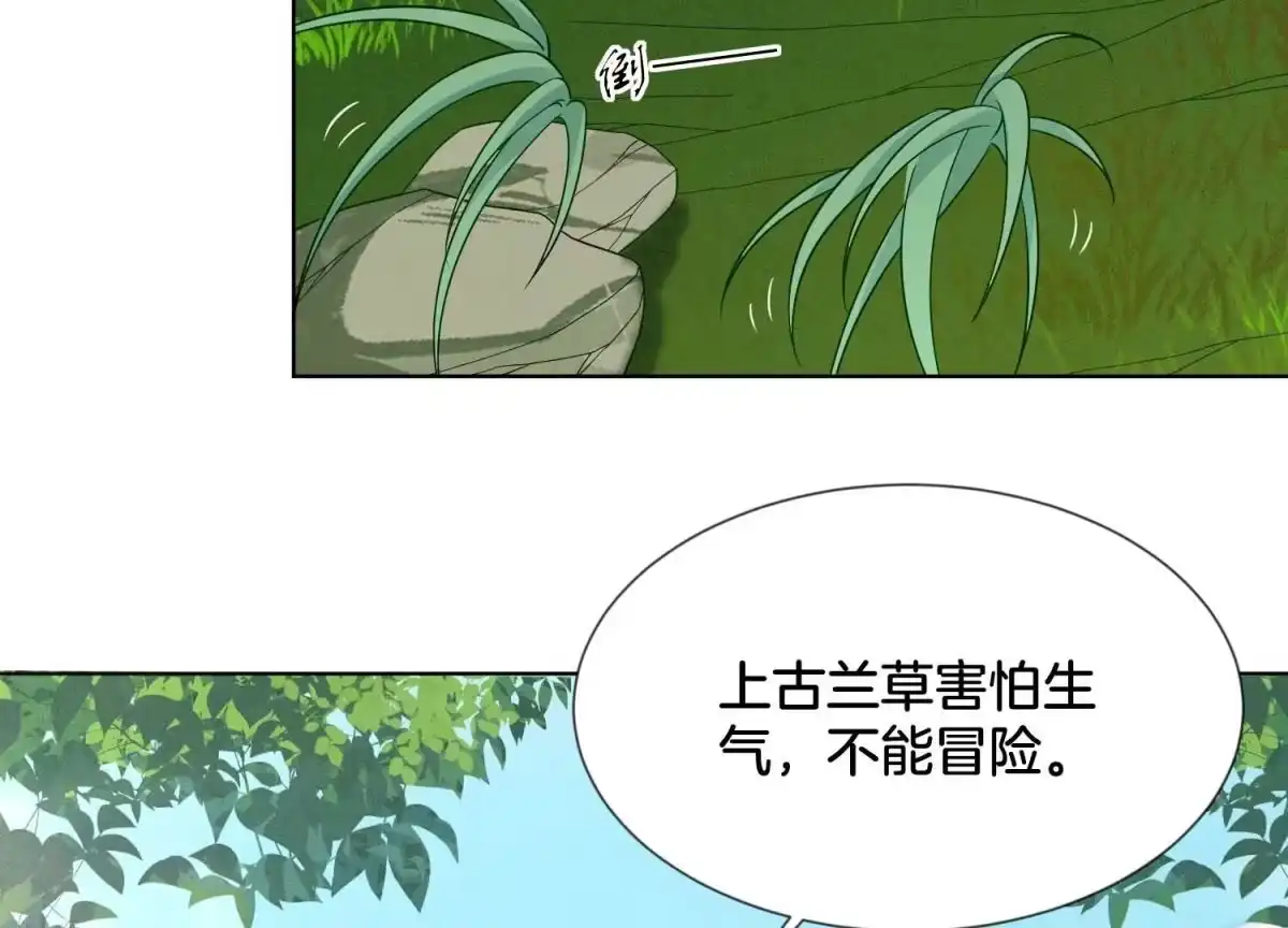 苍兰诀 番外一 奶香小兰花降临人间 第30页