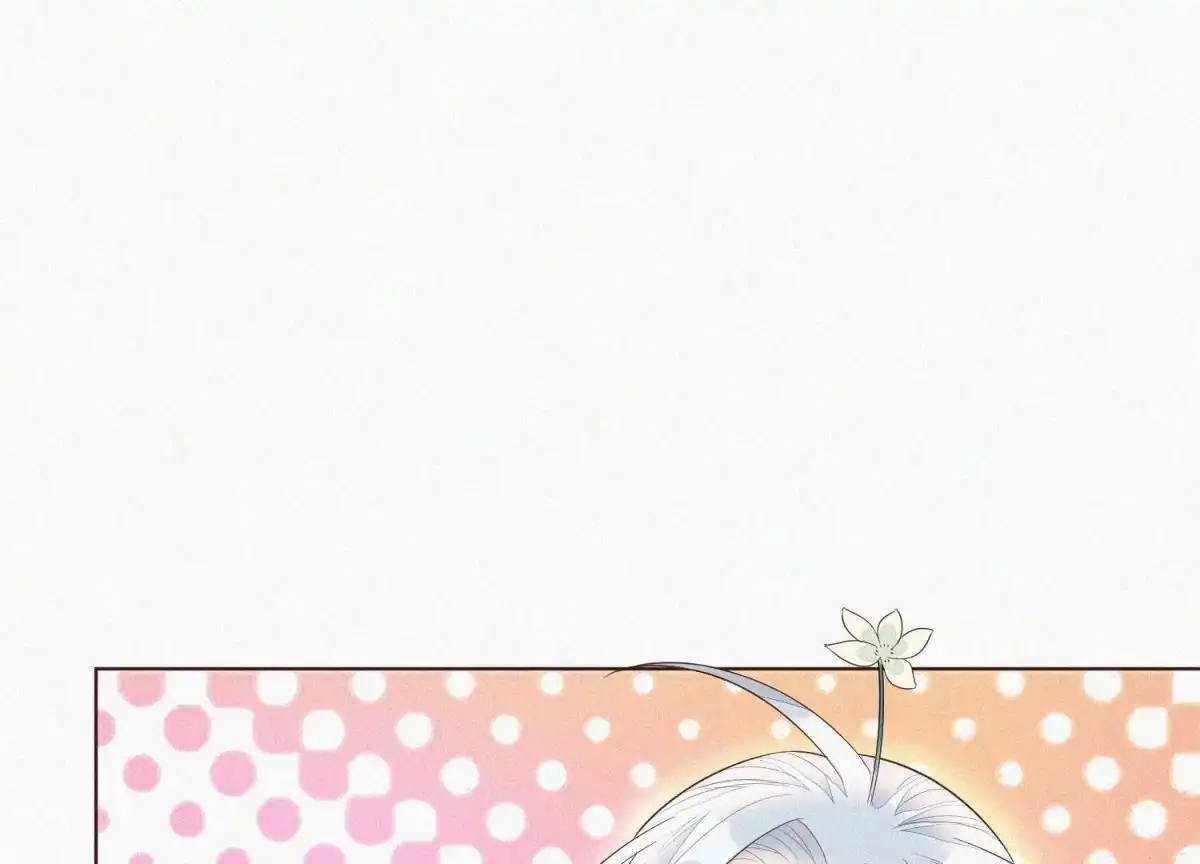 苍兰诀 第30话 买买买的小兰花 第40页