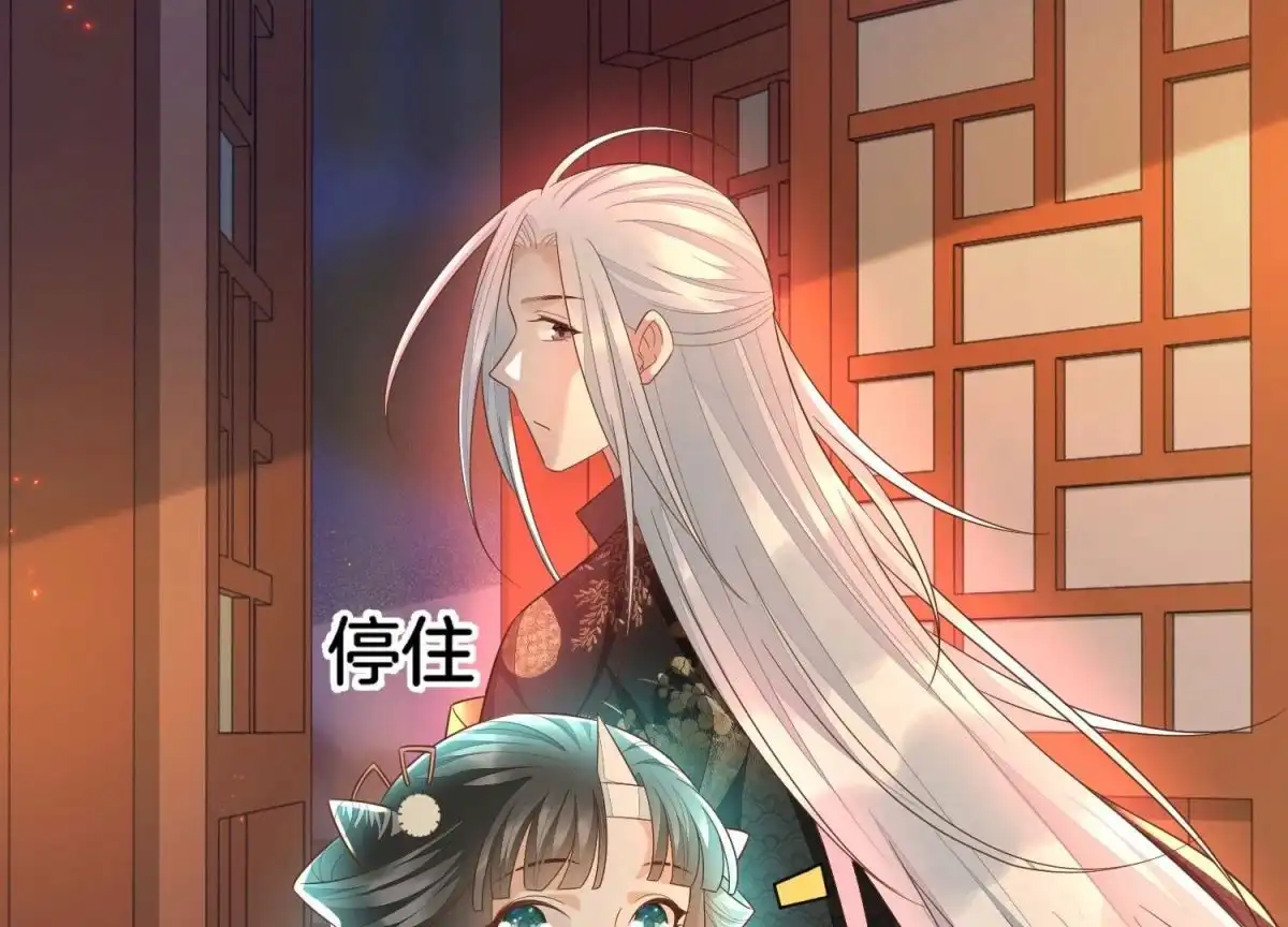 苍兰诀 第34话 令人熟悉的谢婉清 第50页