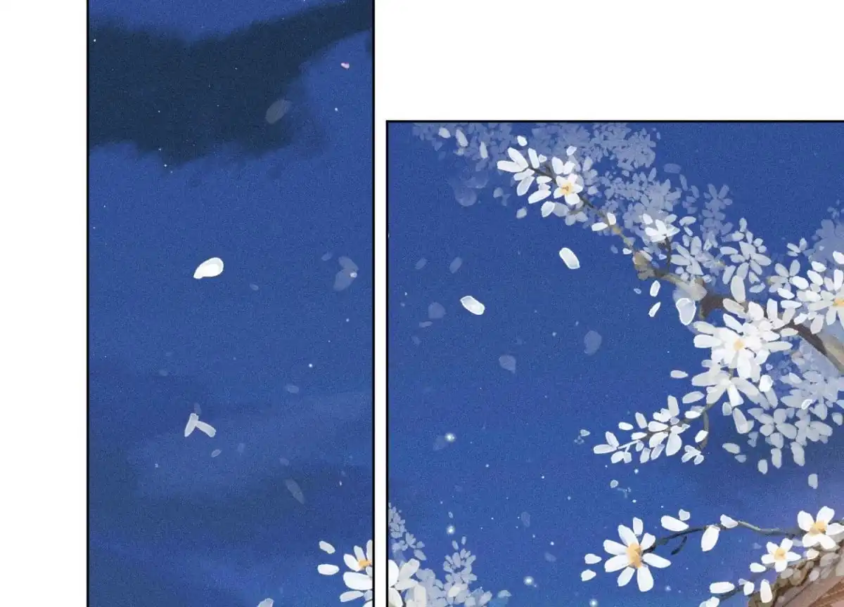 苍兰诀 第67话 千隐郎君的宝物 第62页