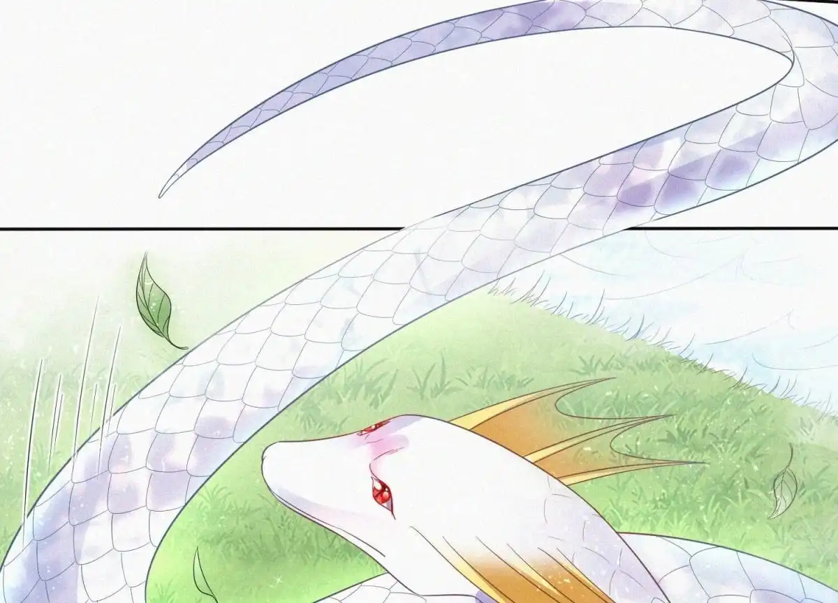 苍兰诀 第85话 孤男寡女共处一岛 第47页