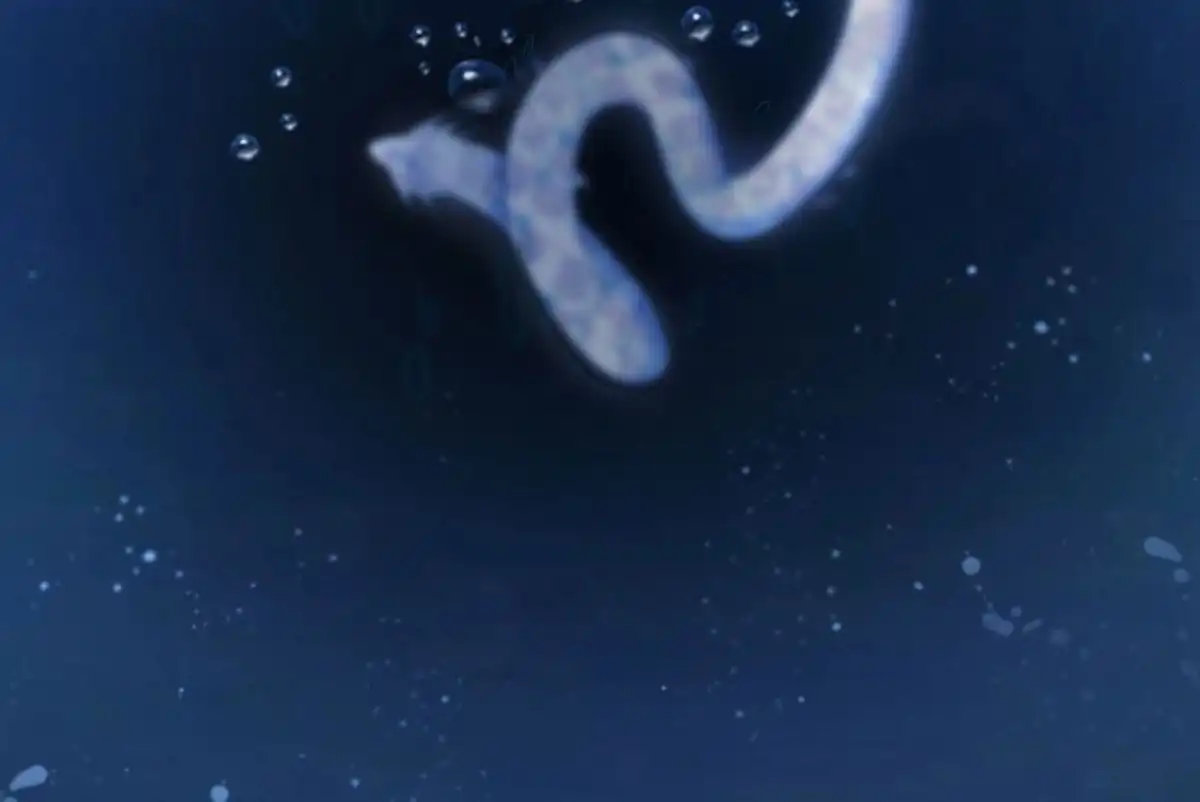 苍兰诀 第89话 睚眦必报的大魔头 第10页