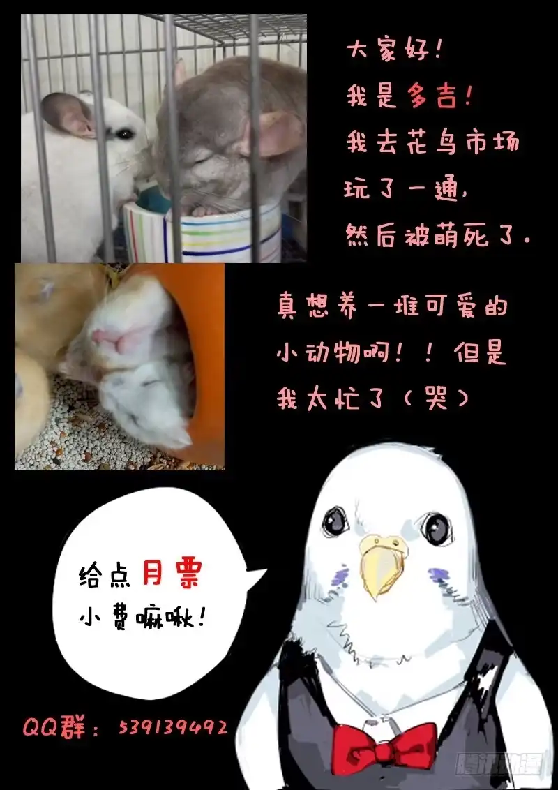 《藏龙卧猫》第七话 第13页