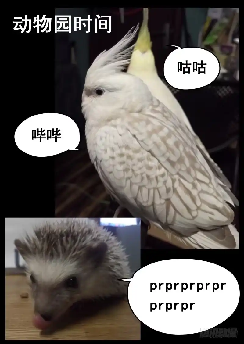 《藏龙卧猫》第九十七话 第10页