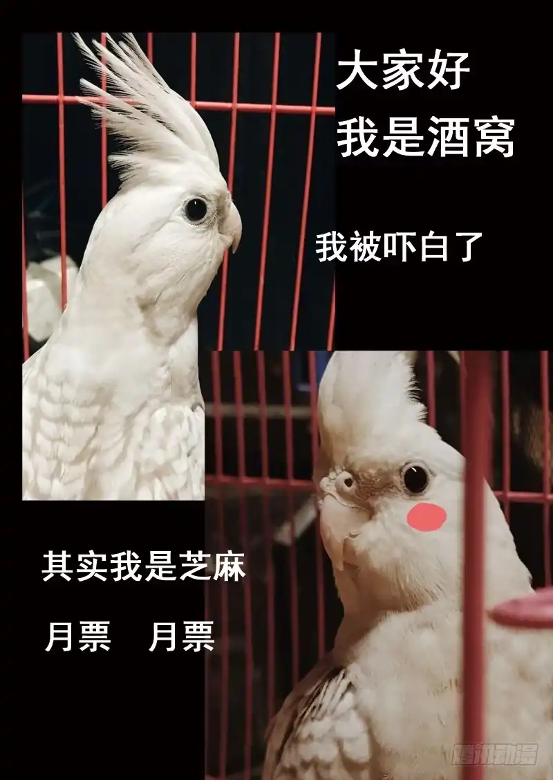 《藏龙卧猫》第九十八话 第10页