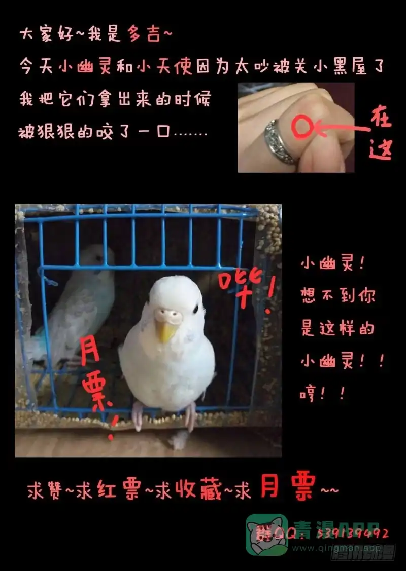 《藏龙卧猫》第八话 第16页