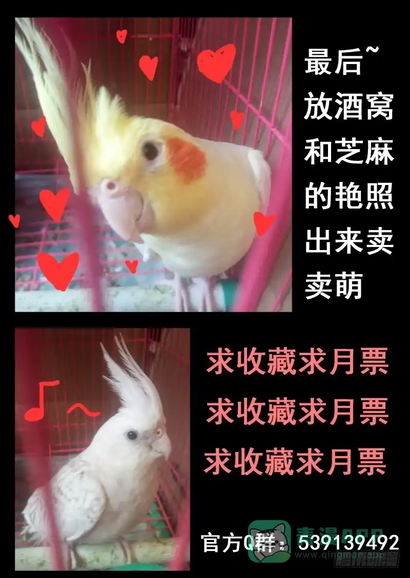 《藏龙卧猫》第一零五话 第11页