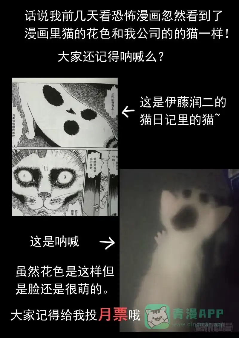 《藏龙卧猫》第一零九话 第11页