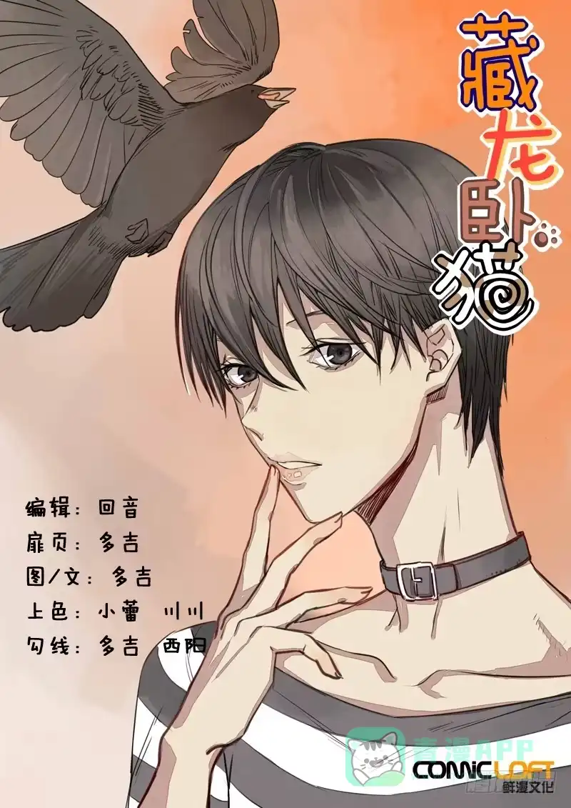 《藏龙卧猫》第一一三话 第1页