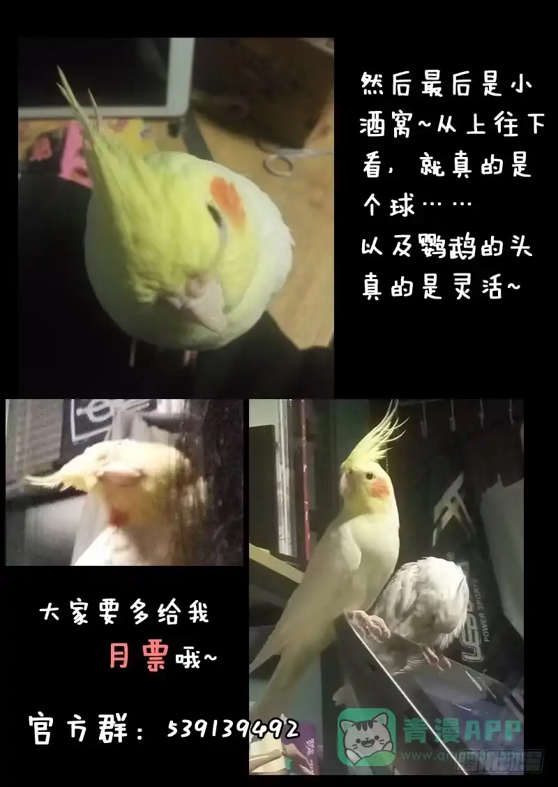 《藏龙卧猫》第一一三话 第11页