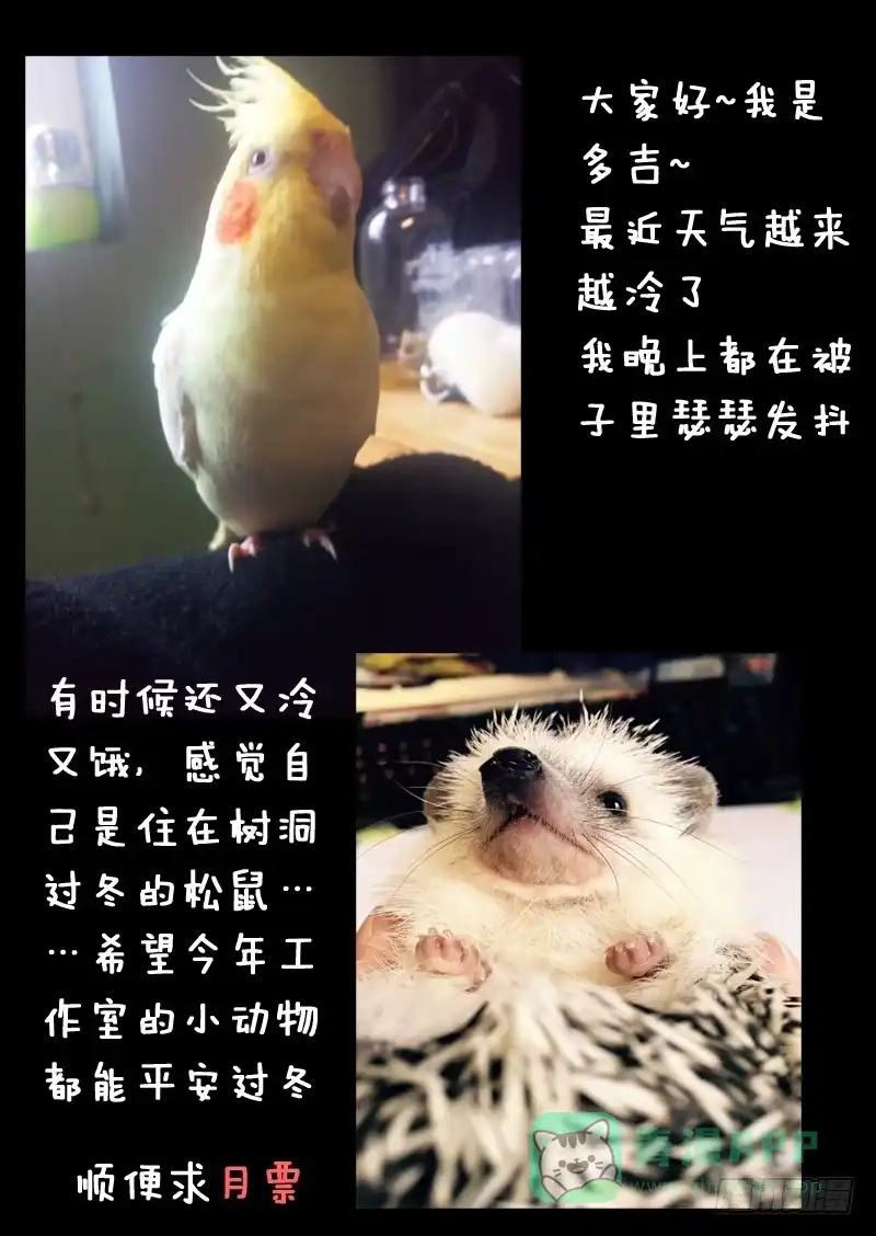 《藏龙卧猫》第一一六话 第11页