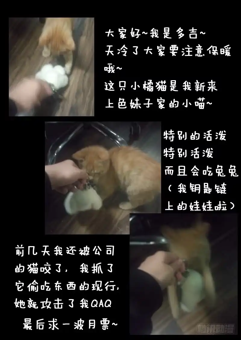 《藏龙卧猫》第一一九话 第12页