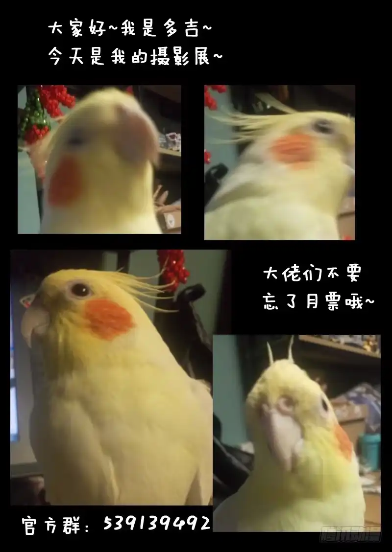 《藏龙卧猫》第一二一话 第12页