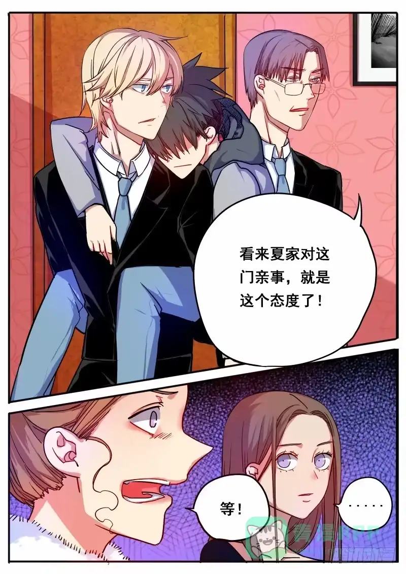 《藏龙卧猫》第十话 第11页