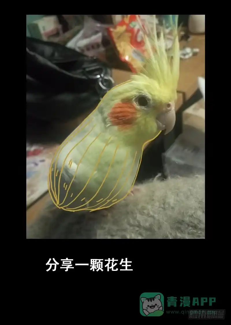 《藏龙卧猫》第一二四话 第11页